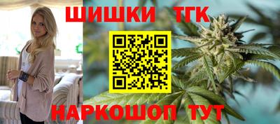 гашик Бийск