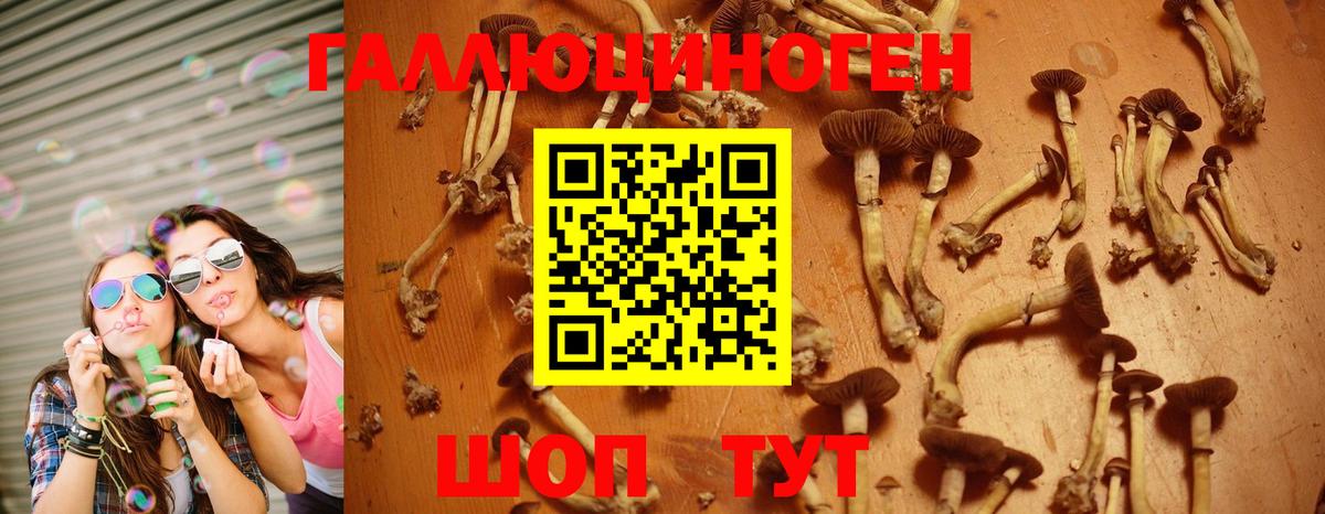 Галлюциногенные грибы ЛСД  Галлюциногенные грибы MAGIC MUSHROOMS  Вход с VPN  Каменск-Шахтинский 