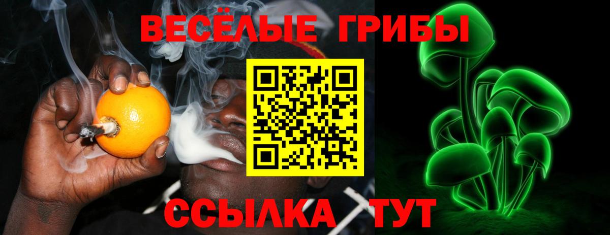 Псилоцибиновые грибы Magic Shrooms Каменск-Шахтинский